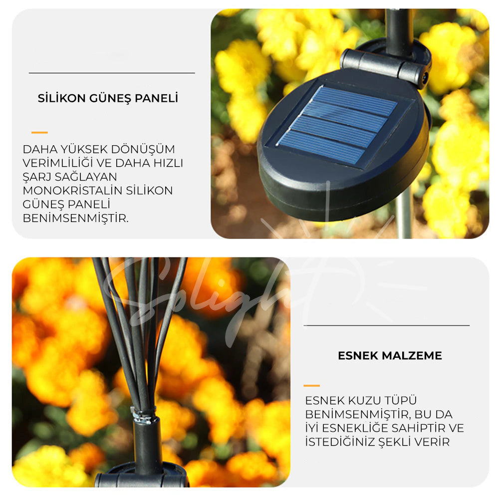 Solight Ateş Böceği